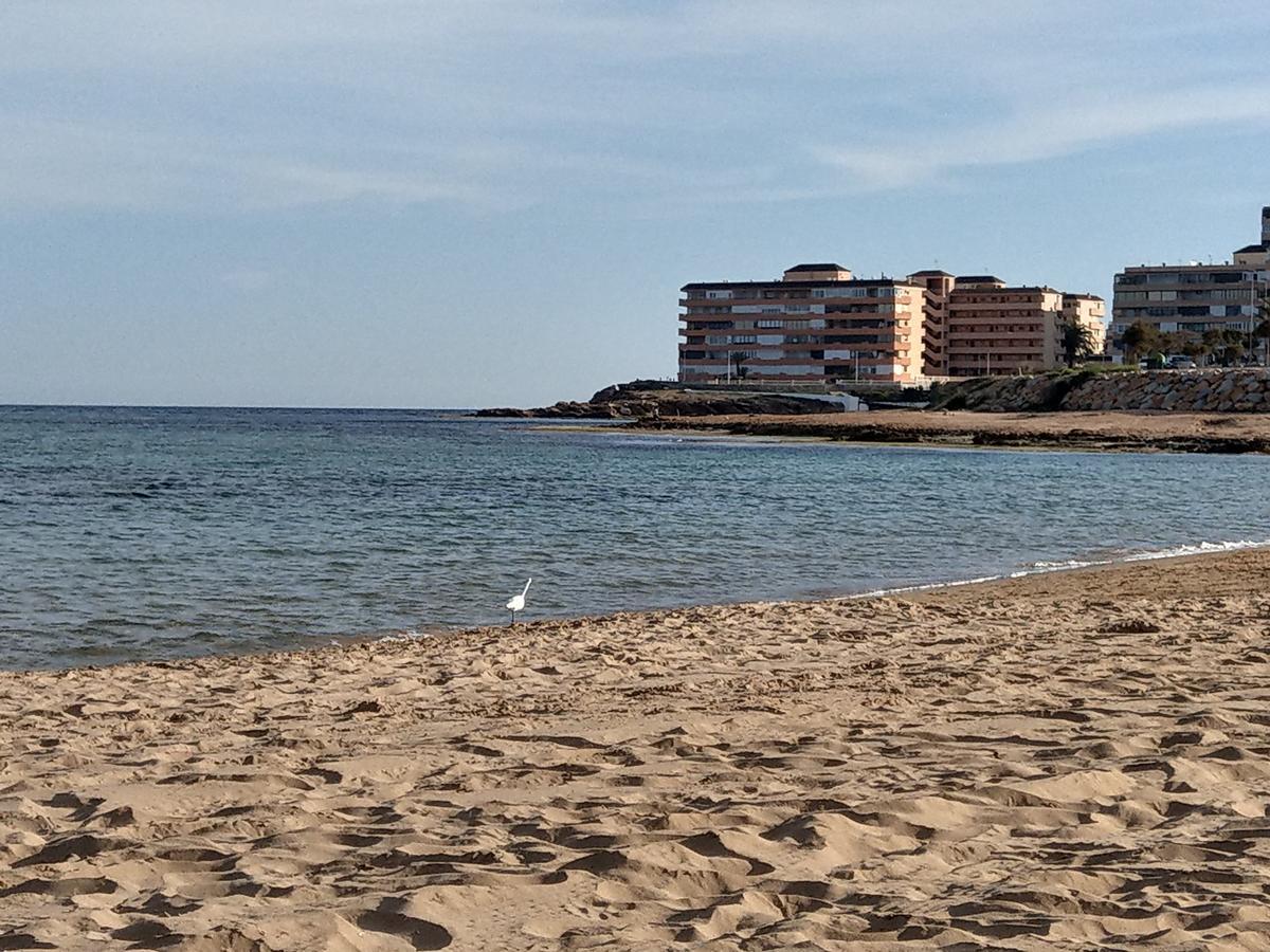 Ferienwohnung Torrevieja Extérieur photo